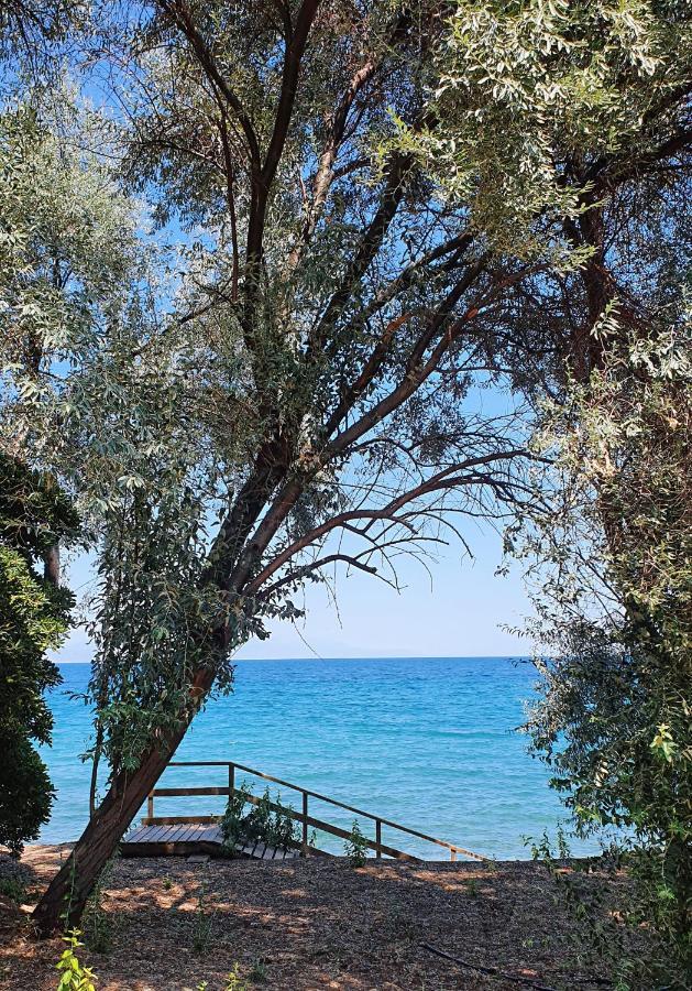 Villa Al-Ari Diakopto Extérieur photo